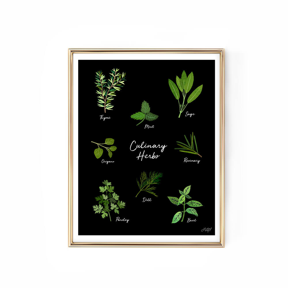 Culinary Herbs Illustration - Art Print - Lindsey Kay Collective