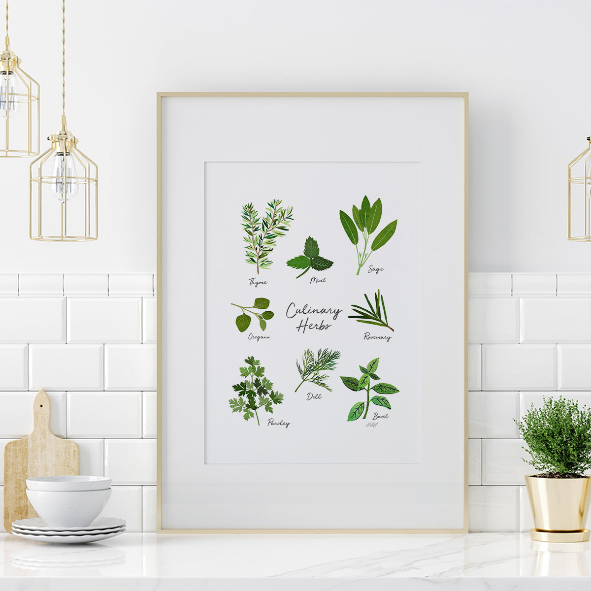 Culinary Herbs Illustration - Art Print