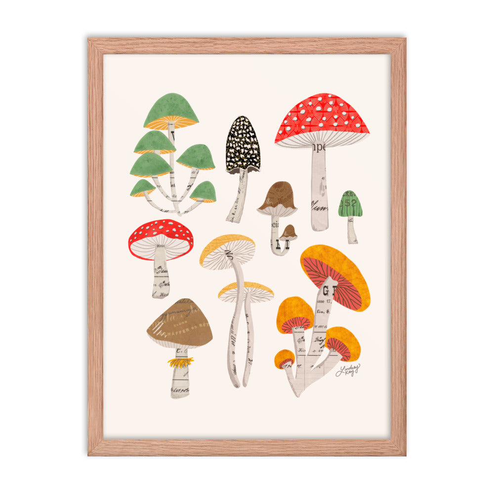 Mushroom Collage Illustration - Framed Matte Print - Lindsey Kay Collective