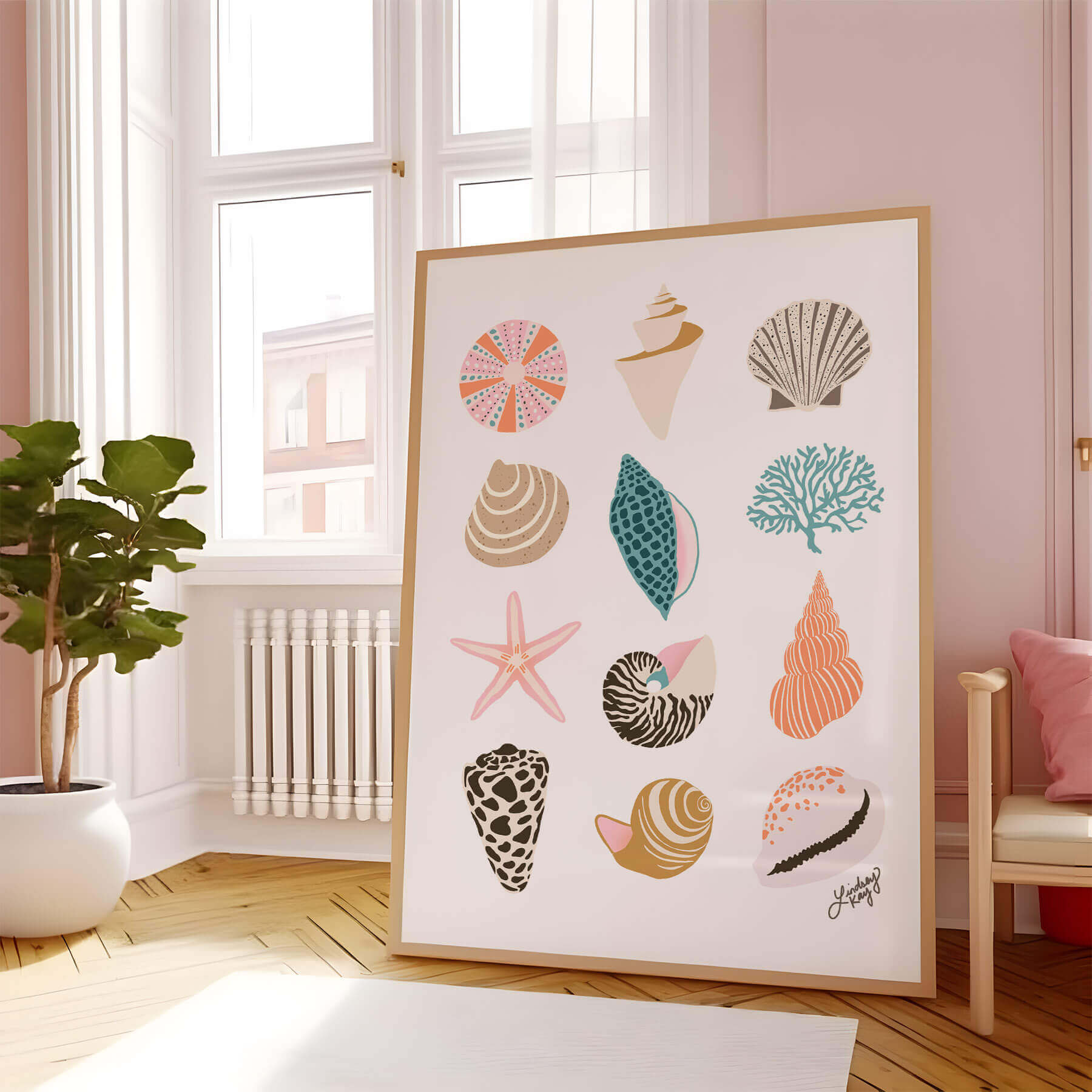 Coquillages - Tirage d’art