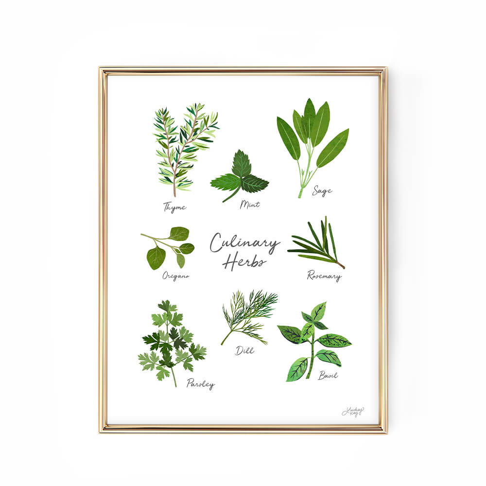 culinary herbs art priint illustration kittchen decor lindsey kay collective