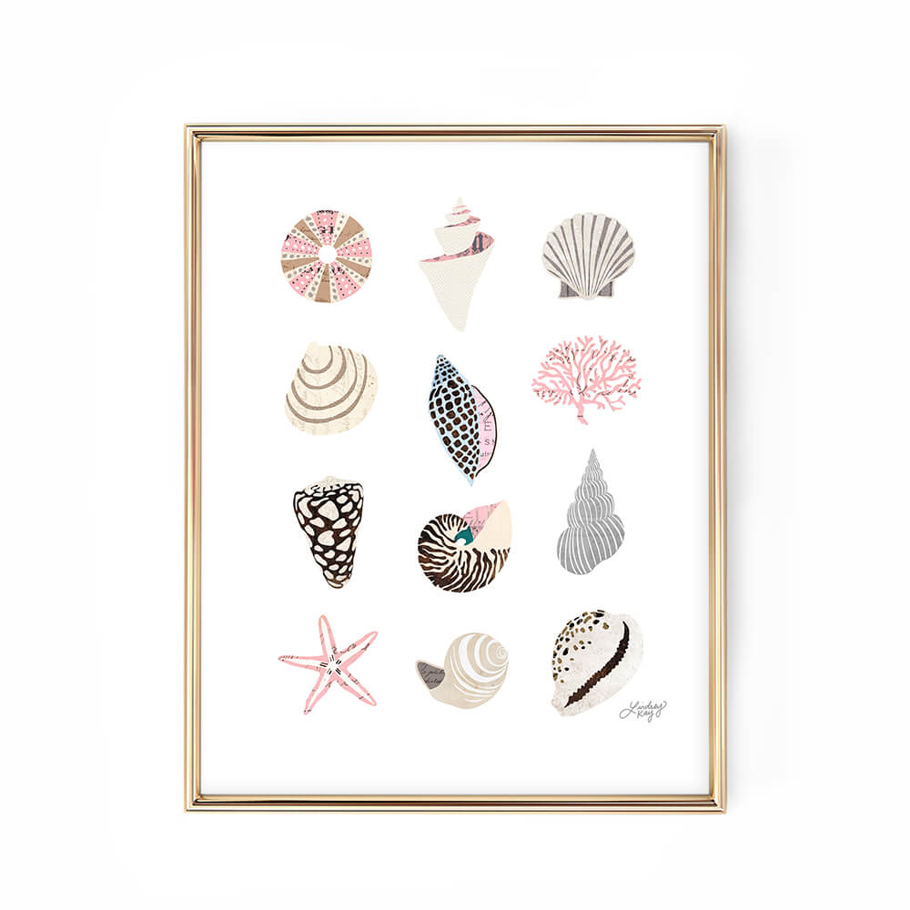 seashell illustration art print