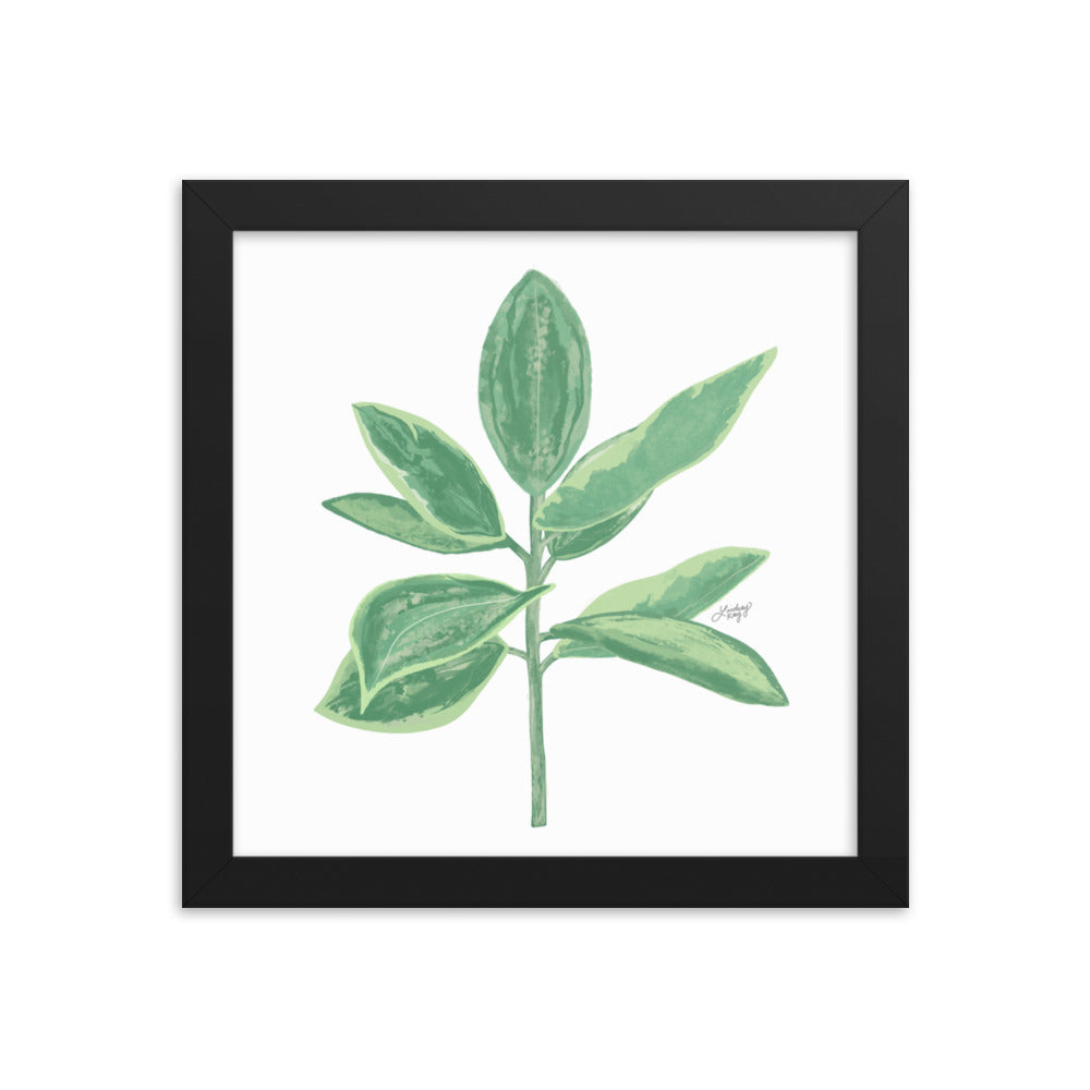 Green Leaf Plant Illustration - Framed Matte Print - Lindsey Kay Collective