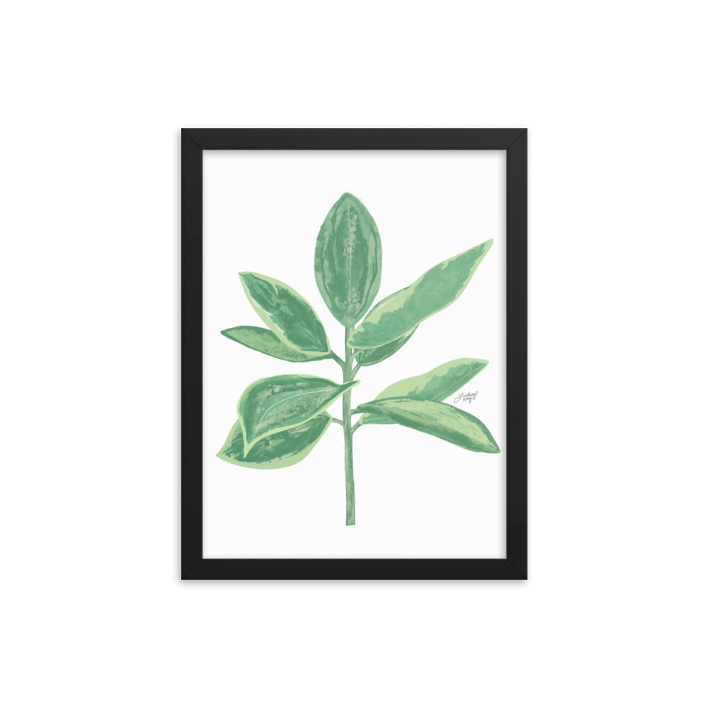 Green Leaf Plant Illustration - Framed Matte Print
