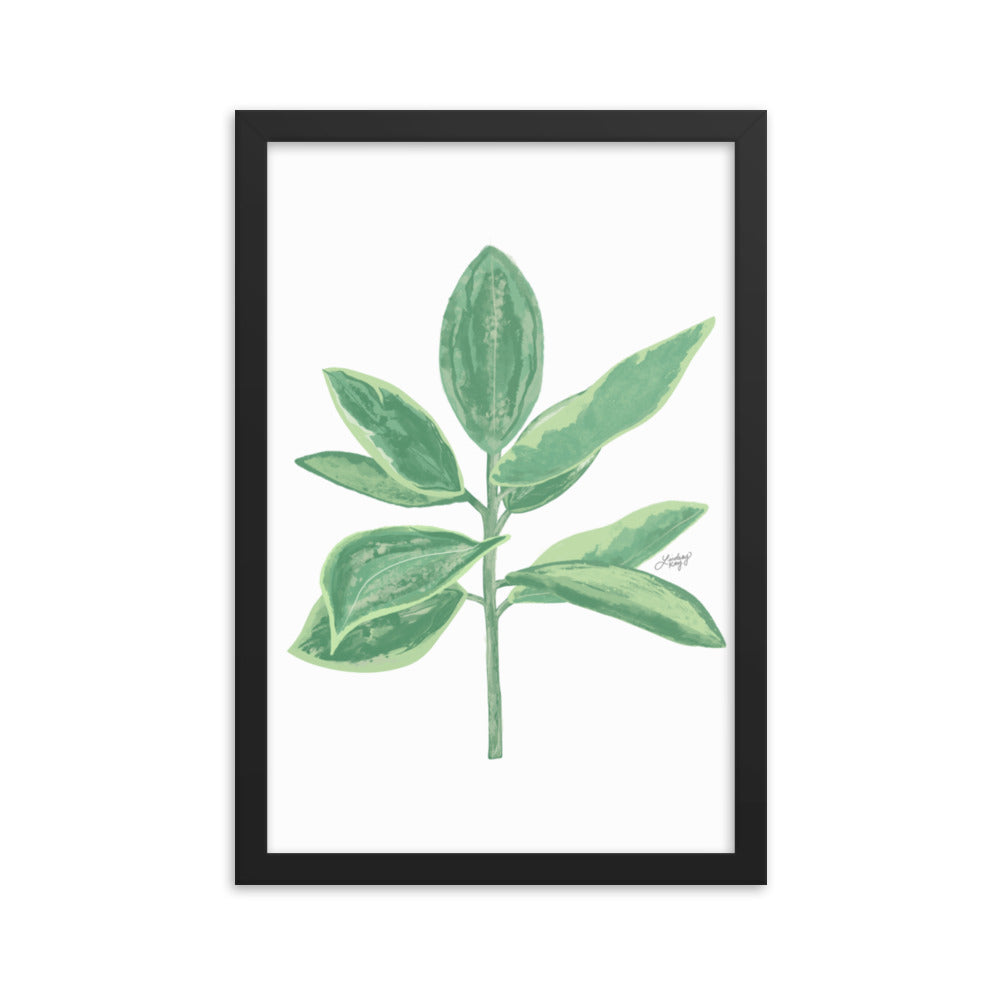 Green Leaf Plant Illustration - Framed Matte Print - Lindsey Kay Collective