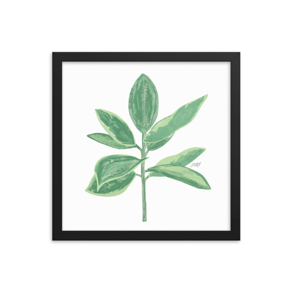 Green Leaf Plant Illustration - Framed Matte Print - Lindsey Kay Collective