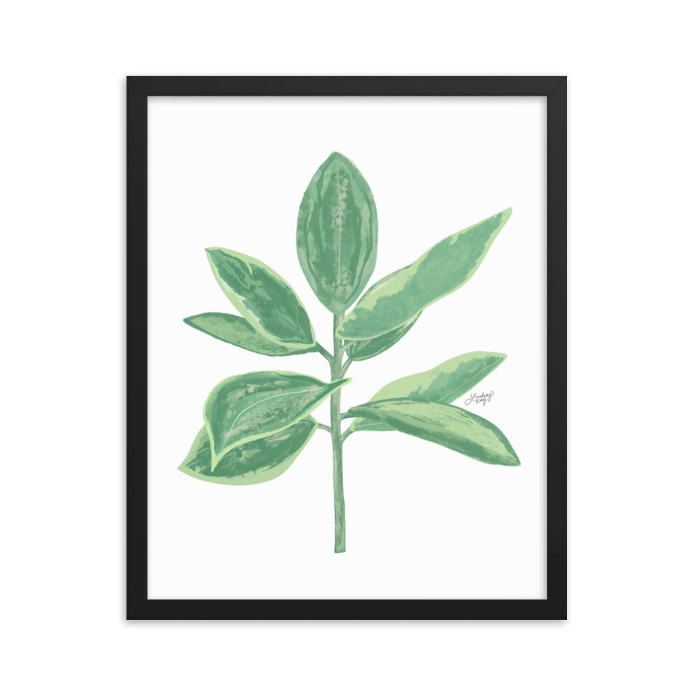 Green Leaf Plant Illustration - Framed Matte Print - Lindsey Kay Collective