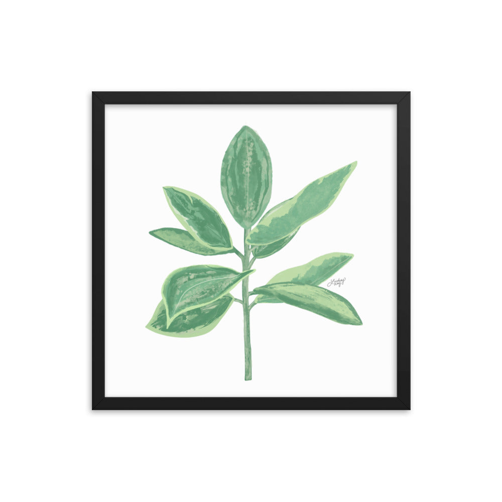 Green Leaf Plant Illustration - Framed Matte Print