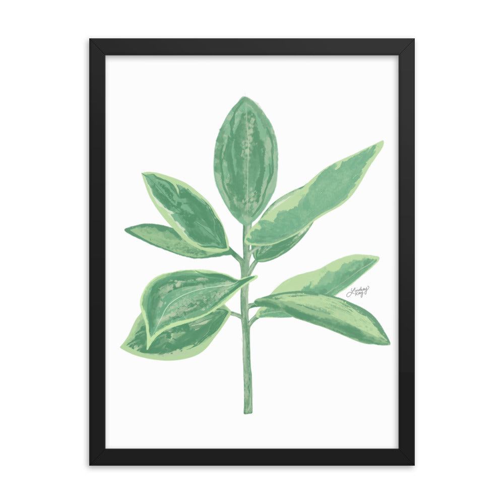 Ilustración de planta de hoja verde - Impresión mate enmarcada