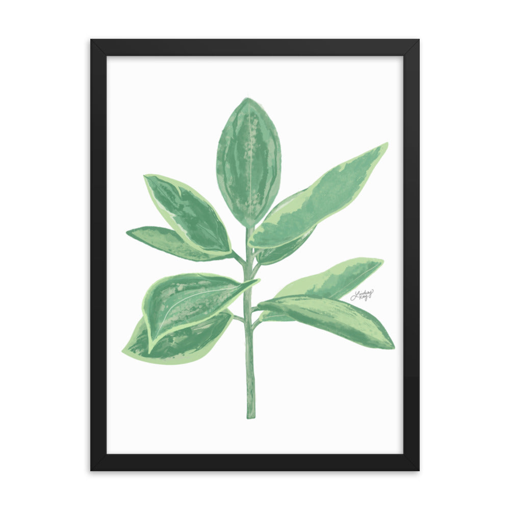 Green Leaf Plant Illustration - Framed Matte Print - Lindsey Kay Collective