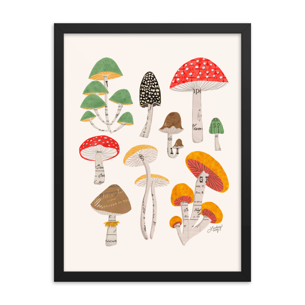 Mushroom Collage Illustration - Framed Matte Print - Lindsey Kay Collective