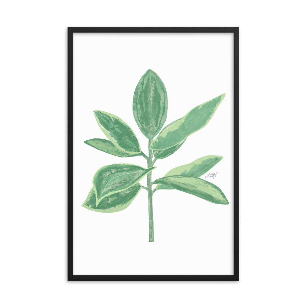 Green Leaf Plant Illustration - Framed Matte Print