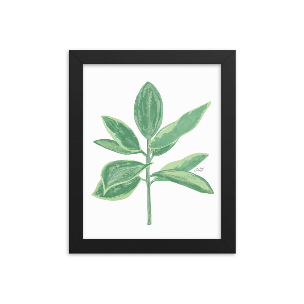Green Leaf Plant Illustration - Framed Matte Print - Lindsey Kay Collective