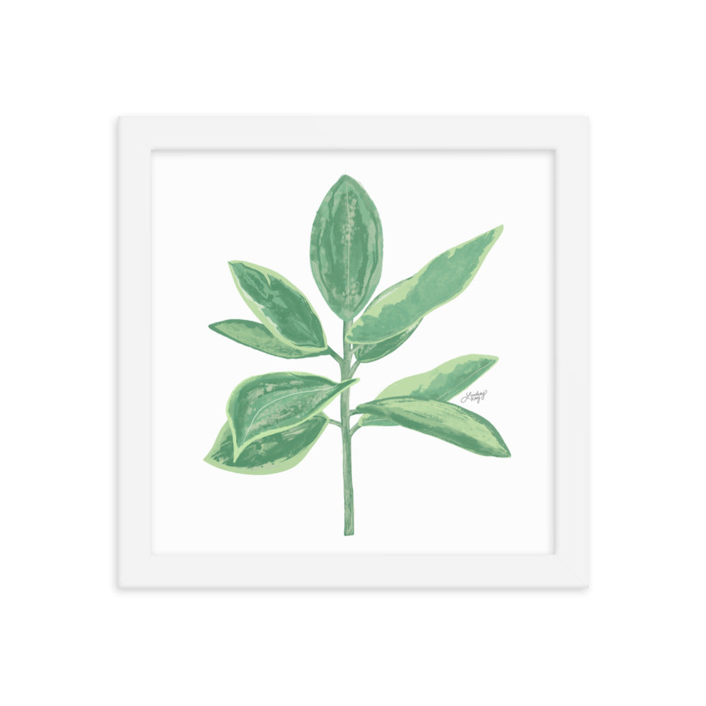 Green Leaf Plant Illustration - Framed Matte Print - Lindsey Kay Collective