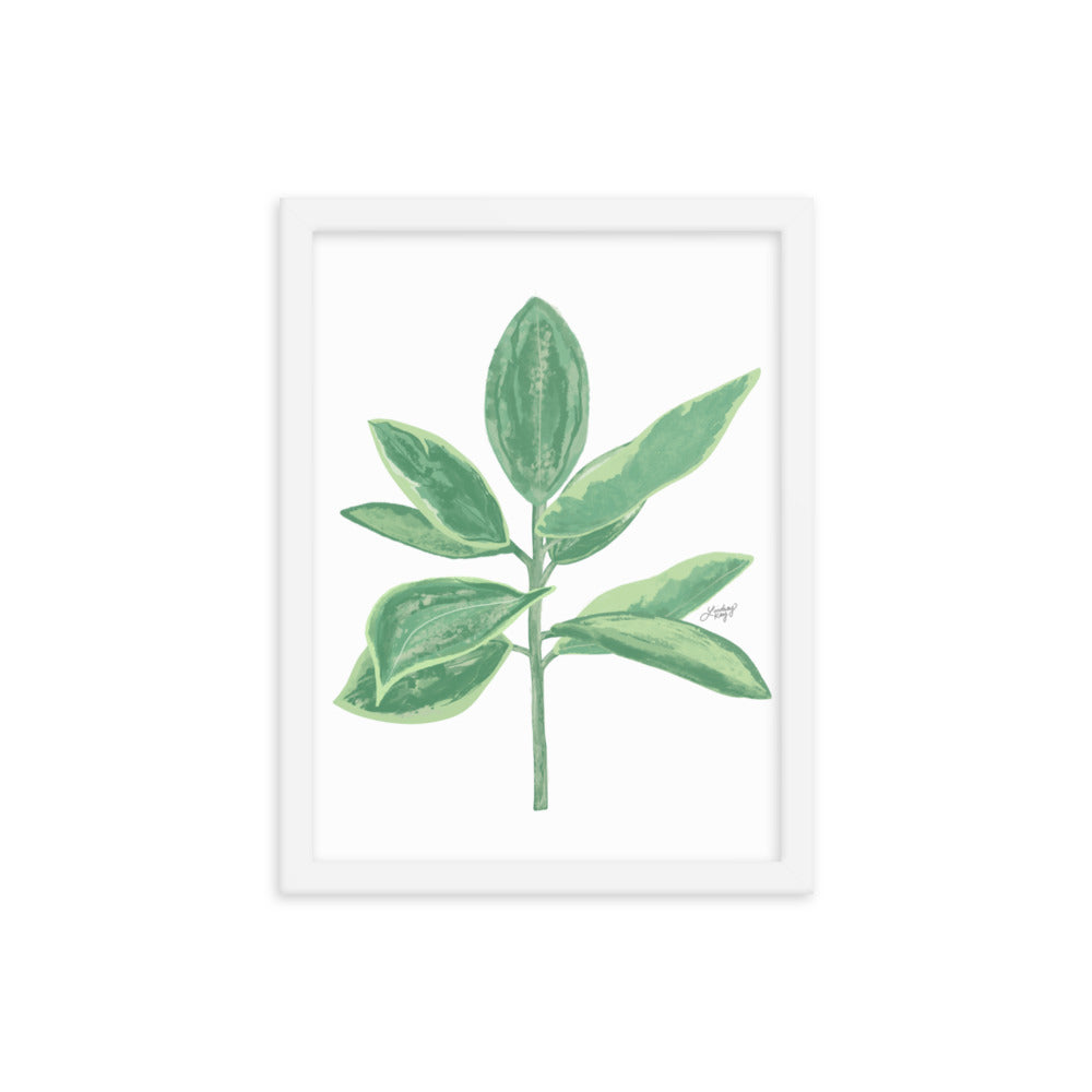 Ilustración de planta de hoja verde - Impresión mate enmarcada