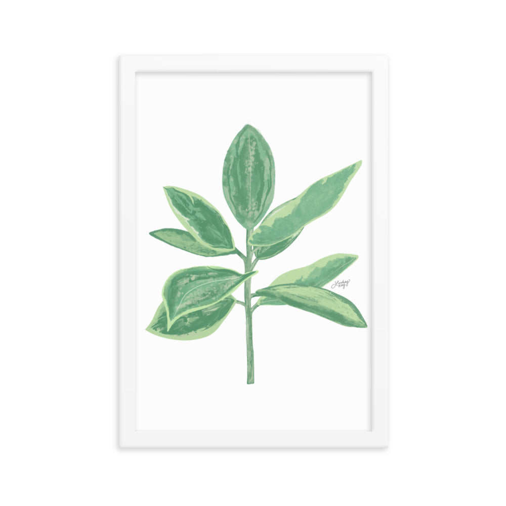 Green Leaf Plant Illustration - Framed Matte Print
