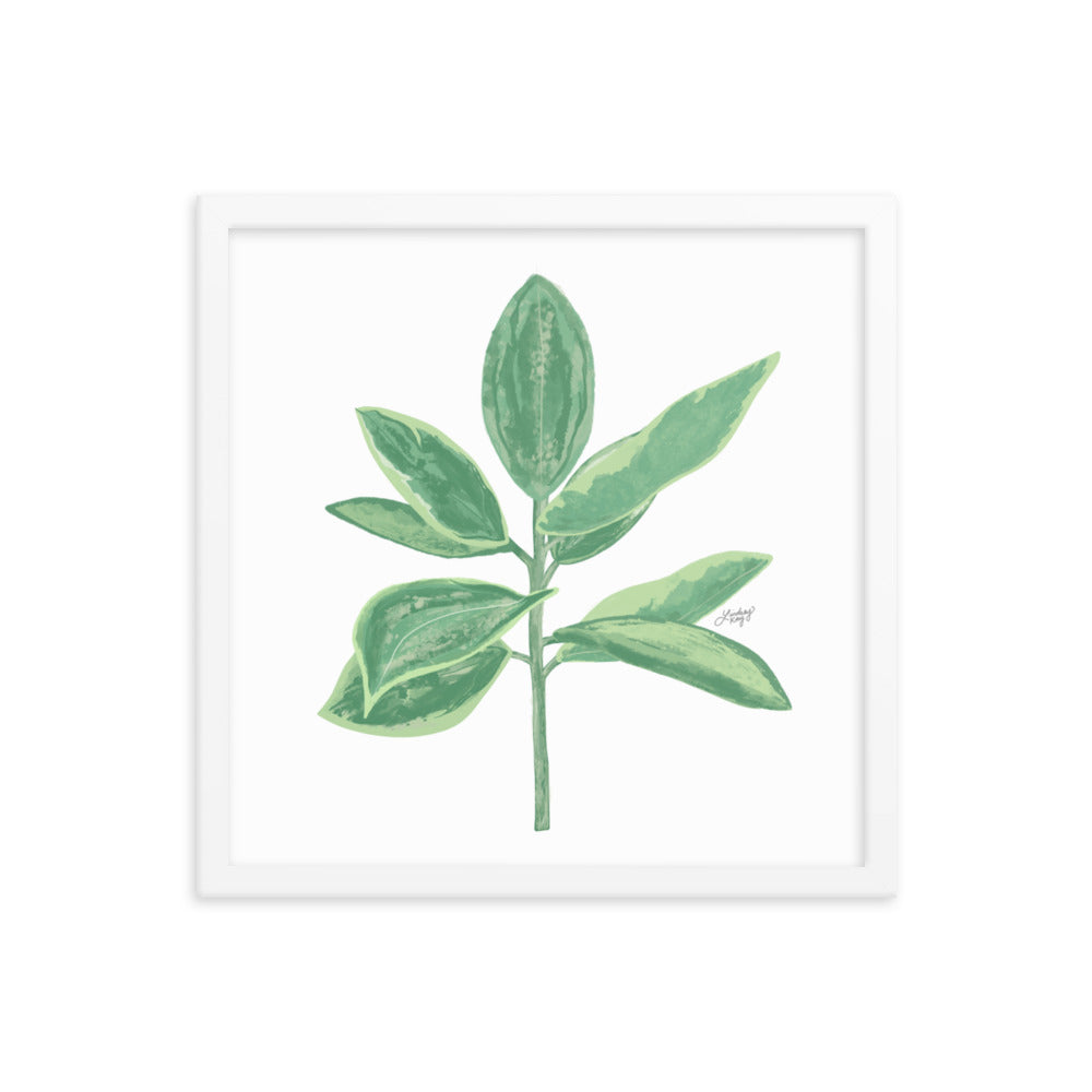 Green Leaf Plant Illustration - Framed Matte Print