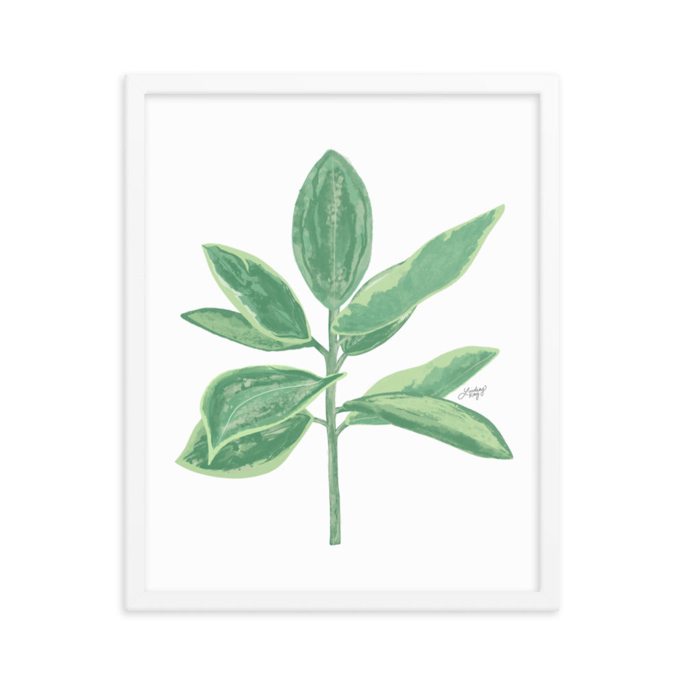 Green Leaf Plant Illustration - Framed Matte Print