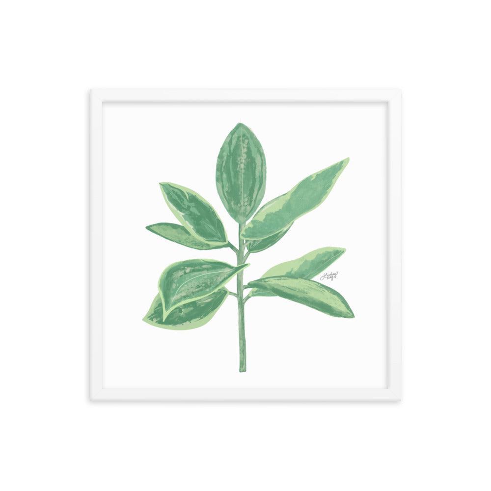 Green Leaf Plant Illustration - Framed Matte Print - Lindsey Kay Collective