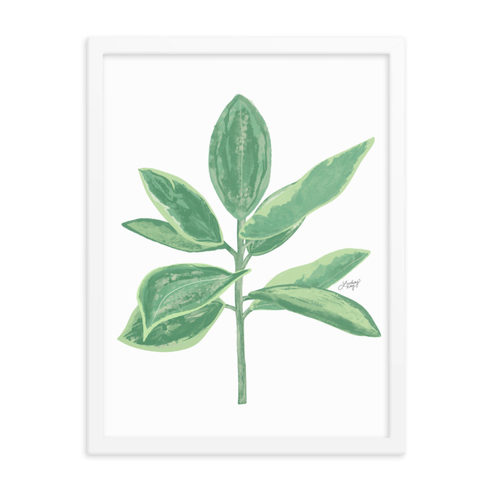 Green Leaf Plant Illustration - Framed Matte Print - Lindsey Kay Collective