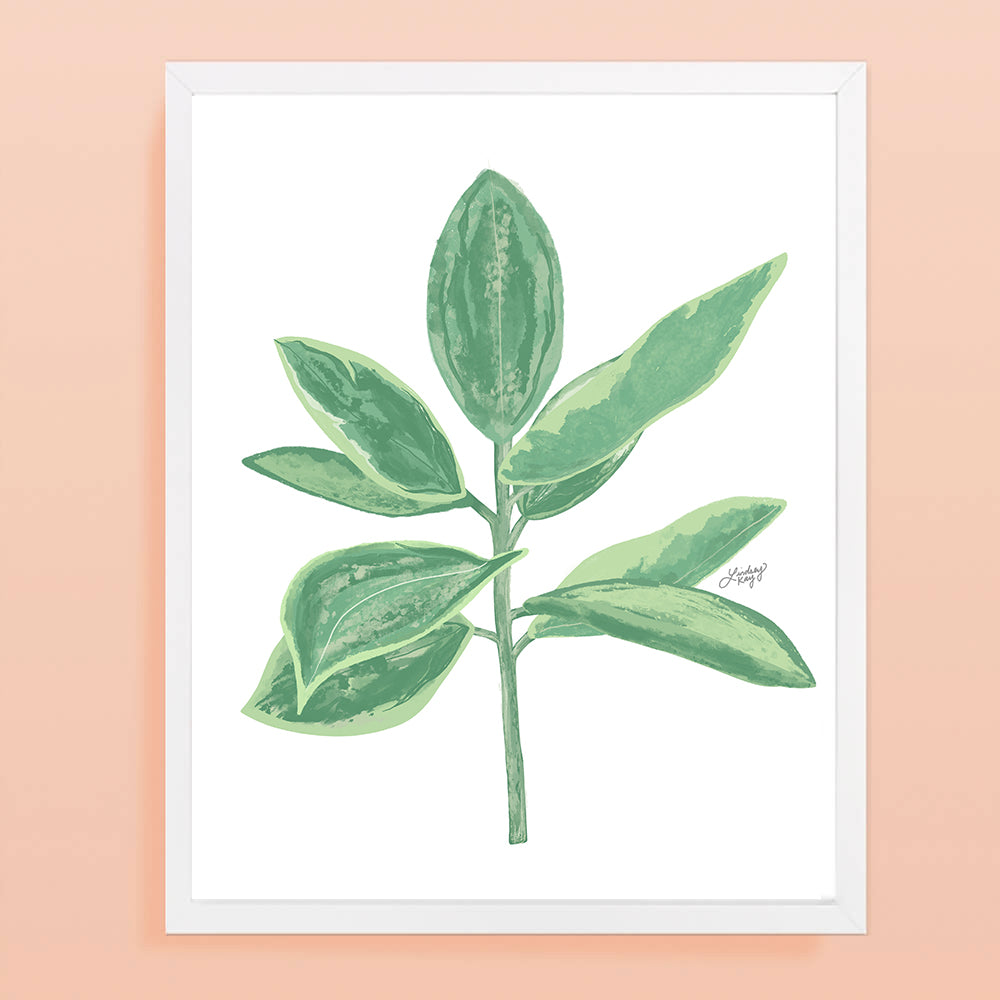 Leafy Plant Illustration - Art Print