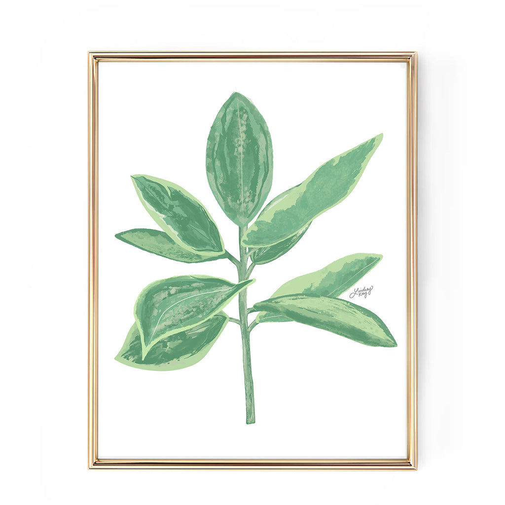 Leafy Plant Illustration - Art Print