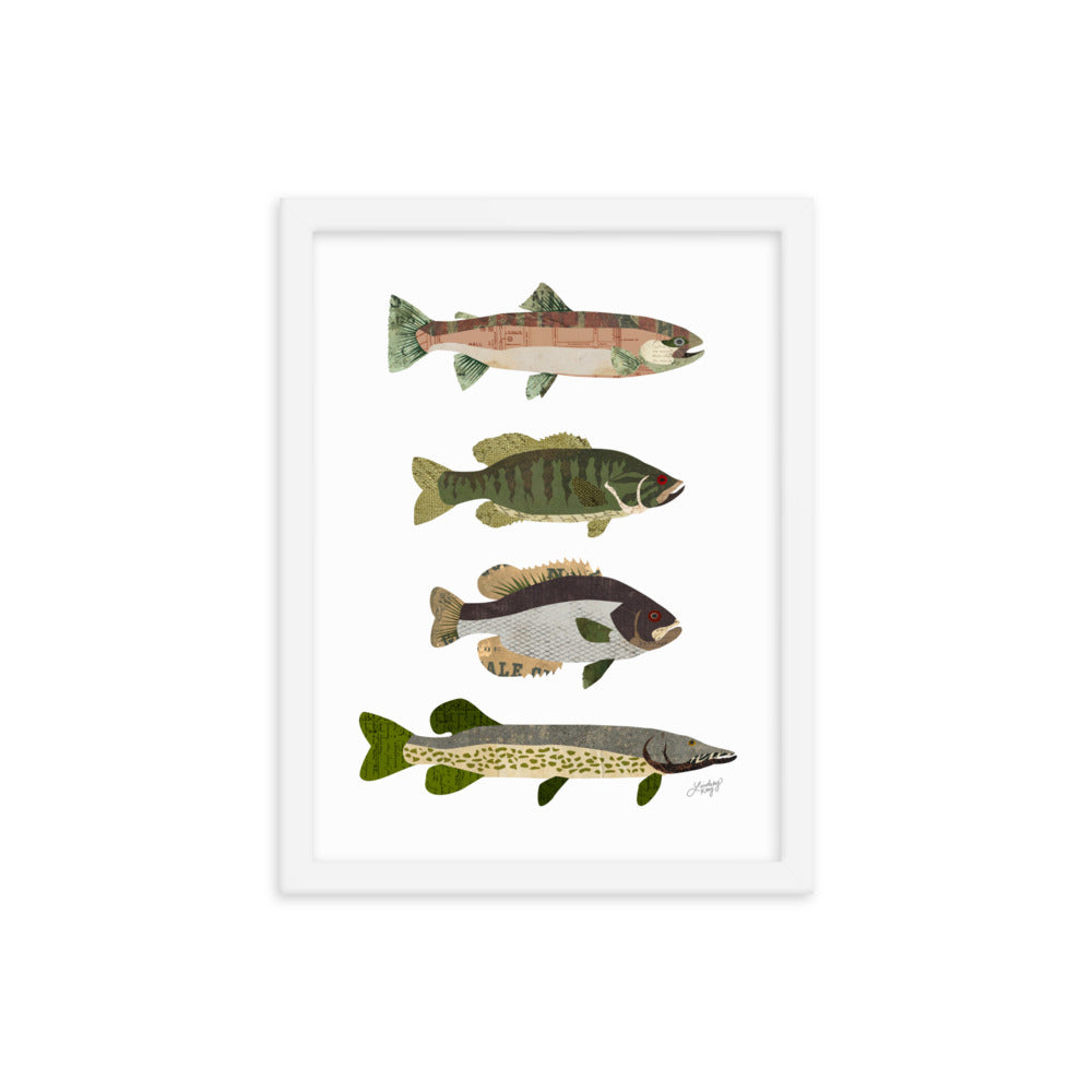 Fish Collage - Framed Matte Print - Lindsey Kay Collective