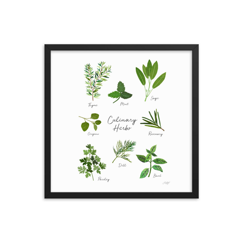 Herbs Collage - Framed Matte Print