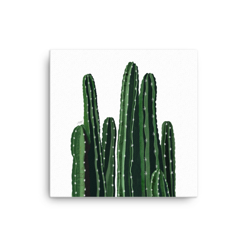 Illustration de cactus - Toile