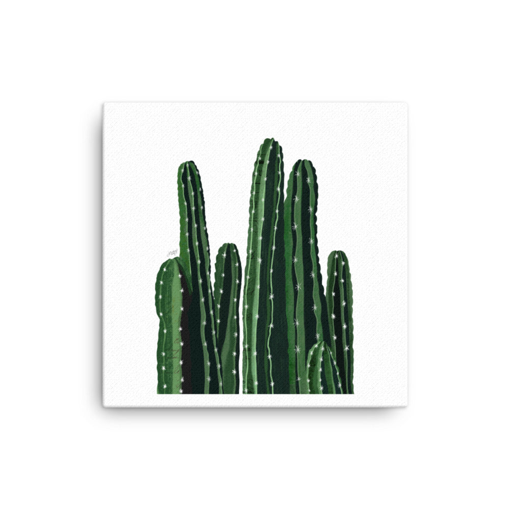 cacti illustration on canvas designed by lindsey kay collective