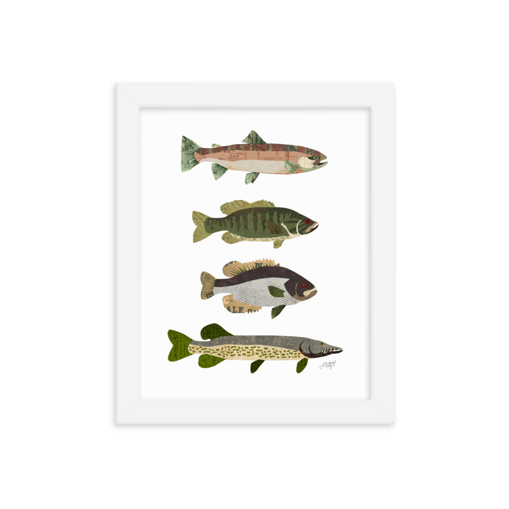 Collage de poissons - Impression mate encadrée