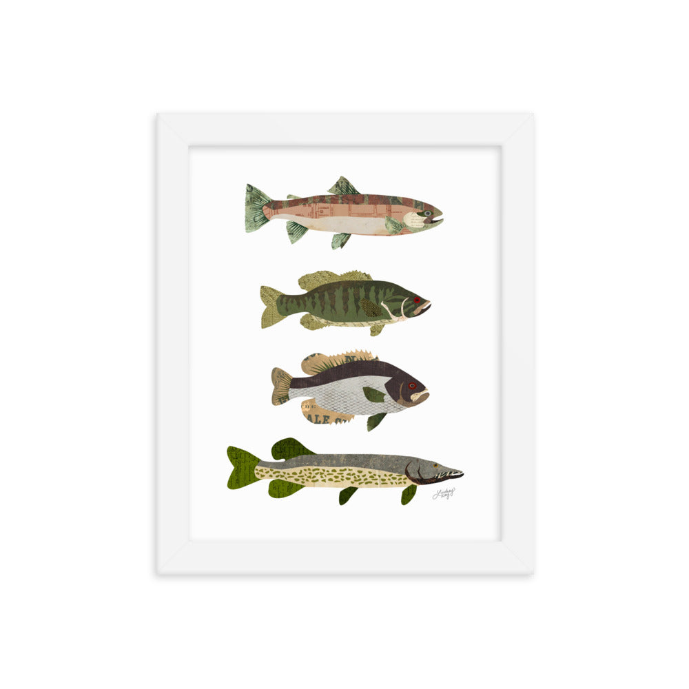 Fish Collage - Framed Matte Print - Lindsey Kay Collective