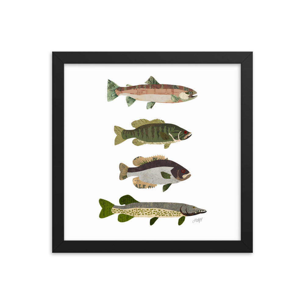 Fish Collage - Framed Matte Print - Lindsey Kay Collective