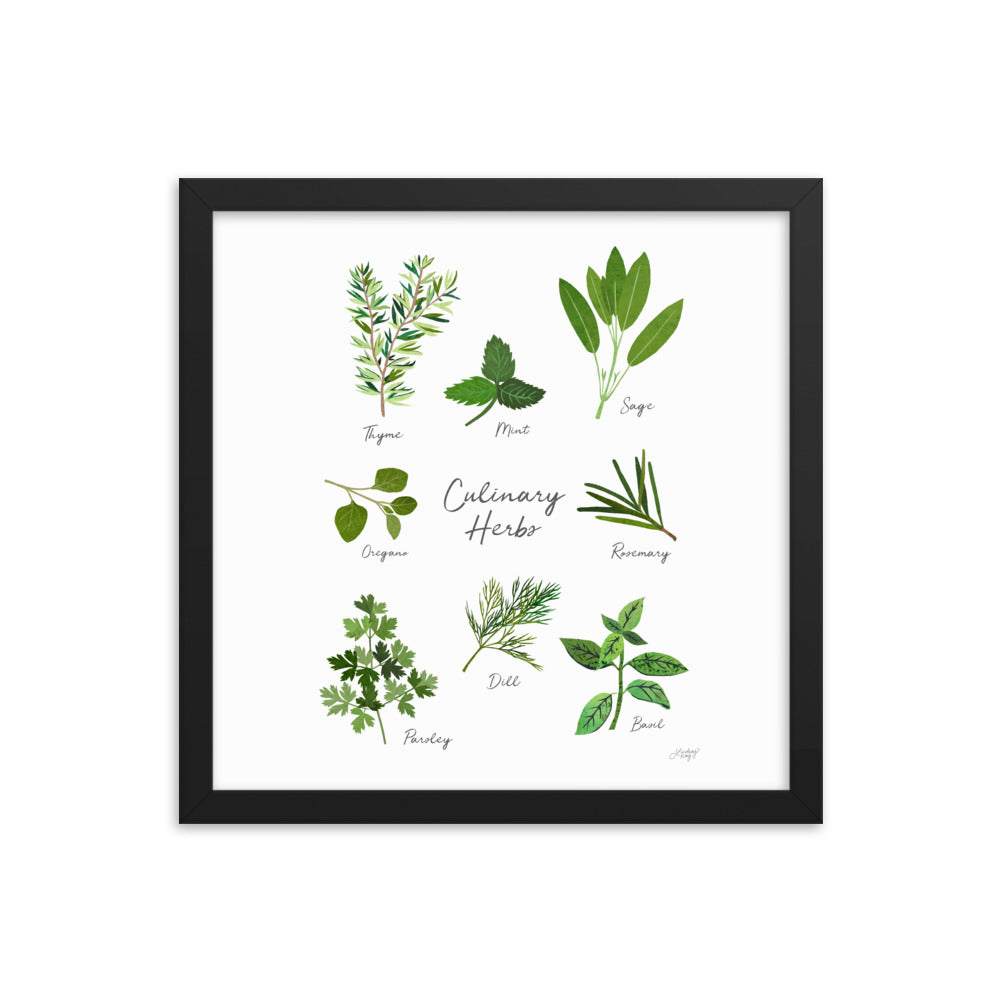 Herbs Collage - Framed Matte Print
