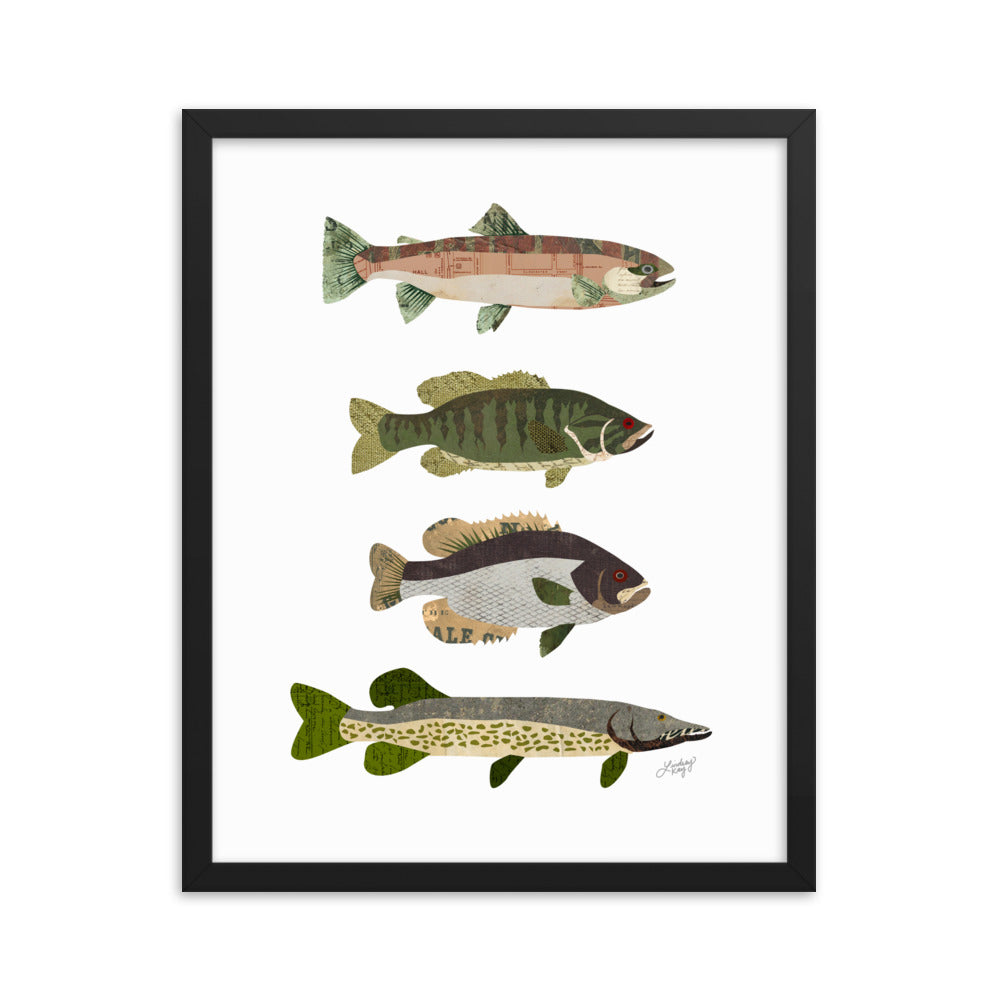 Fish Collage - Framed Matte Print - Lindsey Kay Collective
