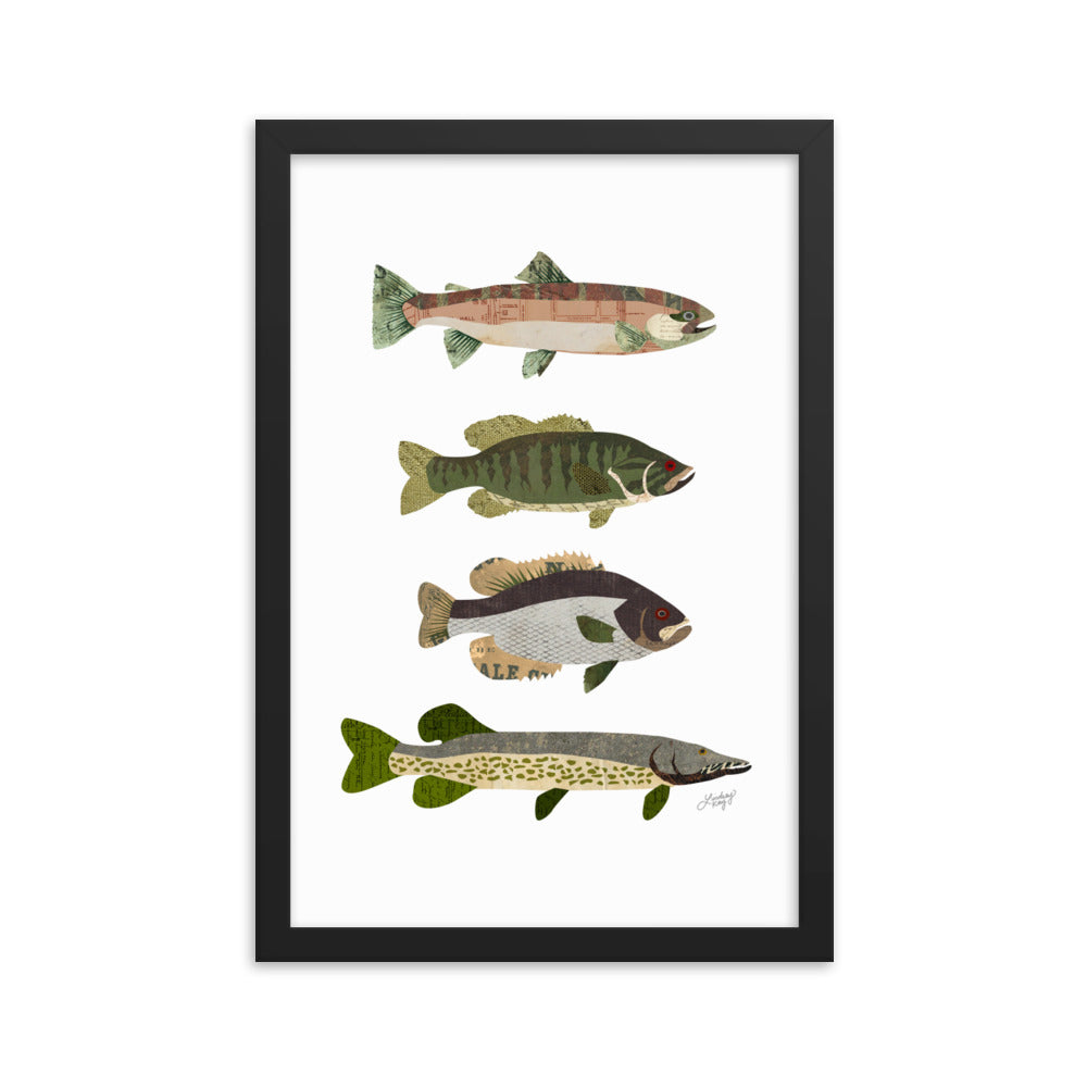 Fish Collage - Framed Matte Print - Lindsey Kay Collective