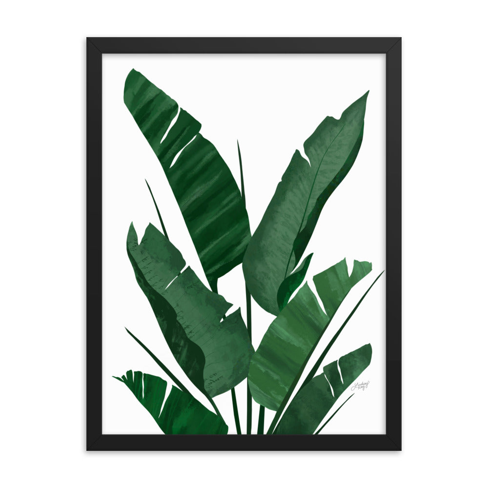 Banana Leaf Plant Collage - Framed Matte Print