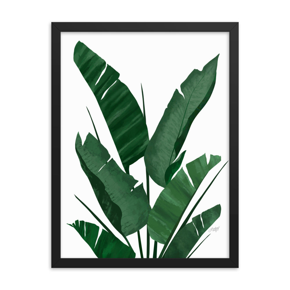 Banana Leaf Plant Collage - Framed Matte Print - Lindsey Kay Collective