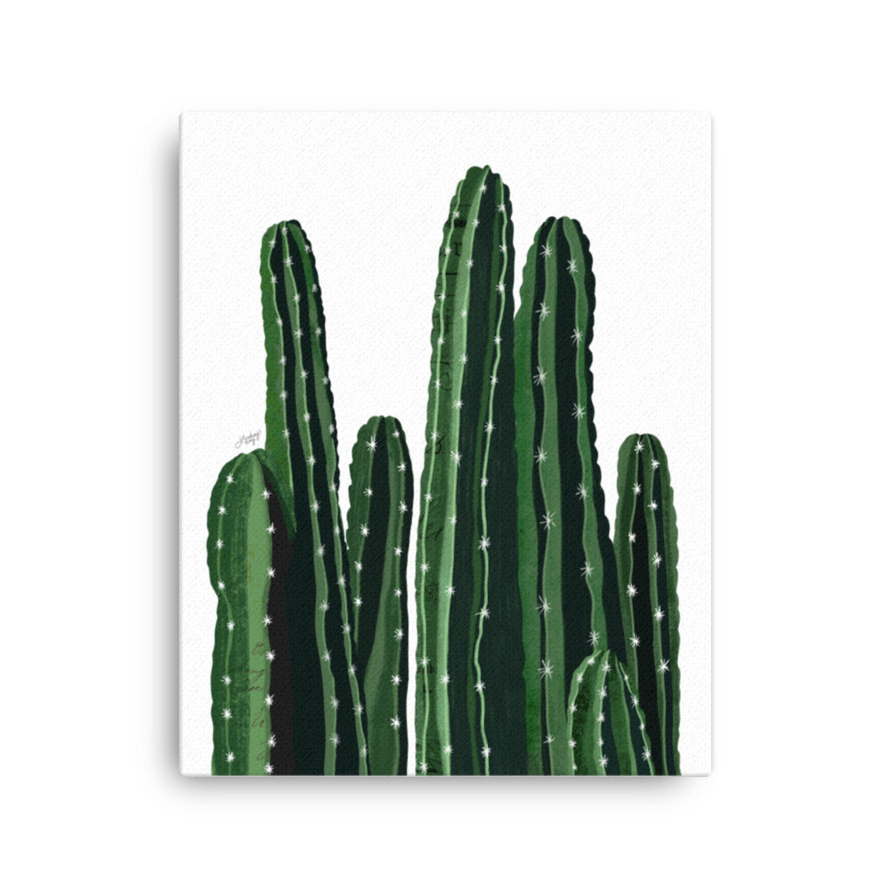 Ilustración de cactus - Lienzo