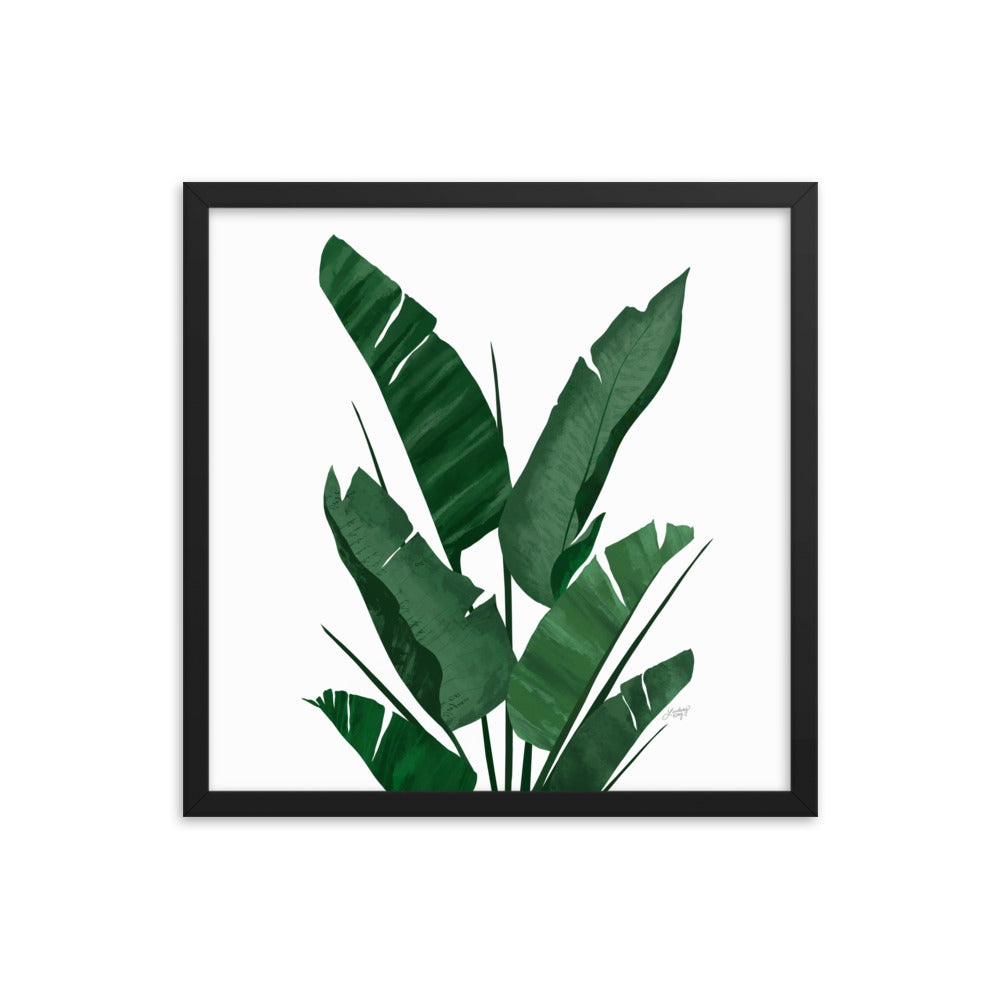 Banana Leaf Plant Collage - Framed Matte Print - Lindsey Kay Collective