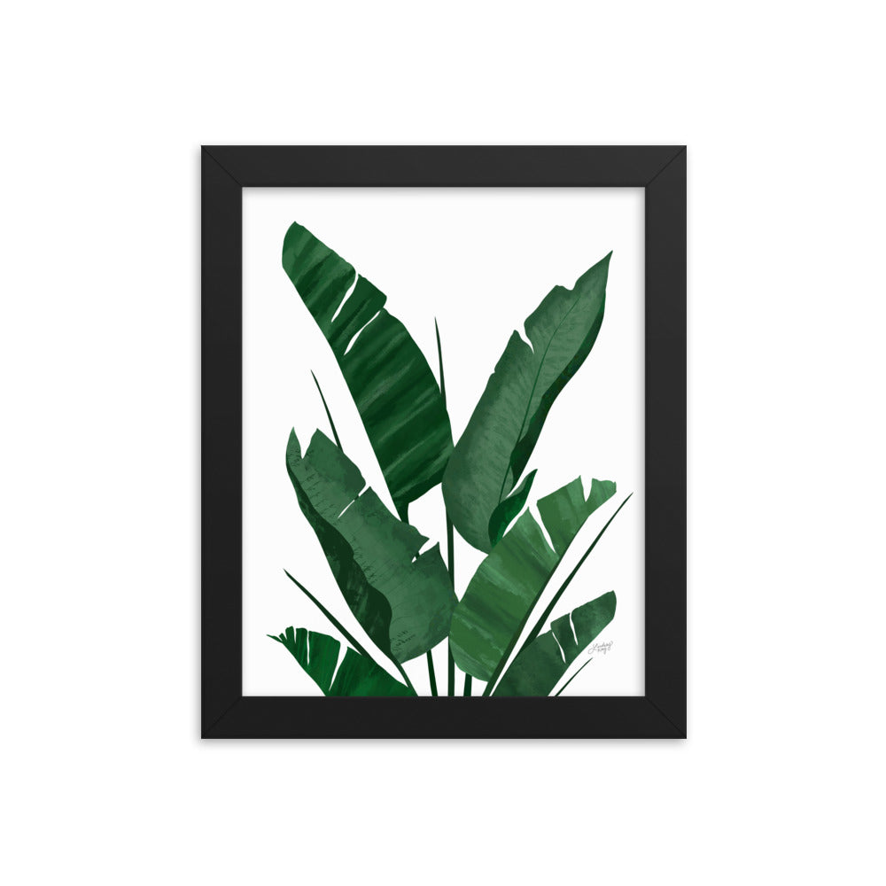 Banana Leaf Plant Collage - Framed Matte Print