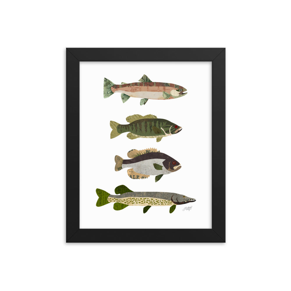 Collage de peces - Impresión mate enmarcada