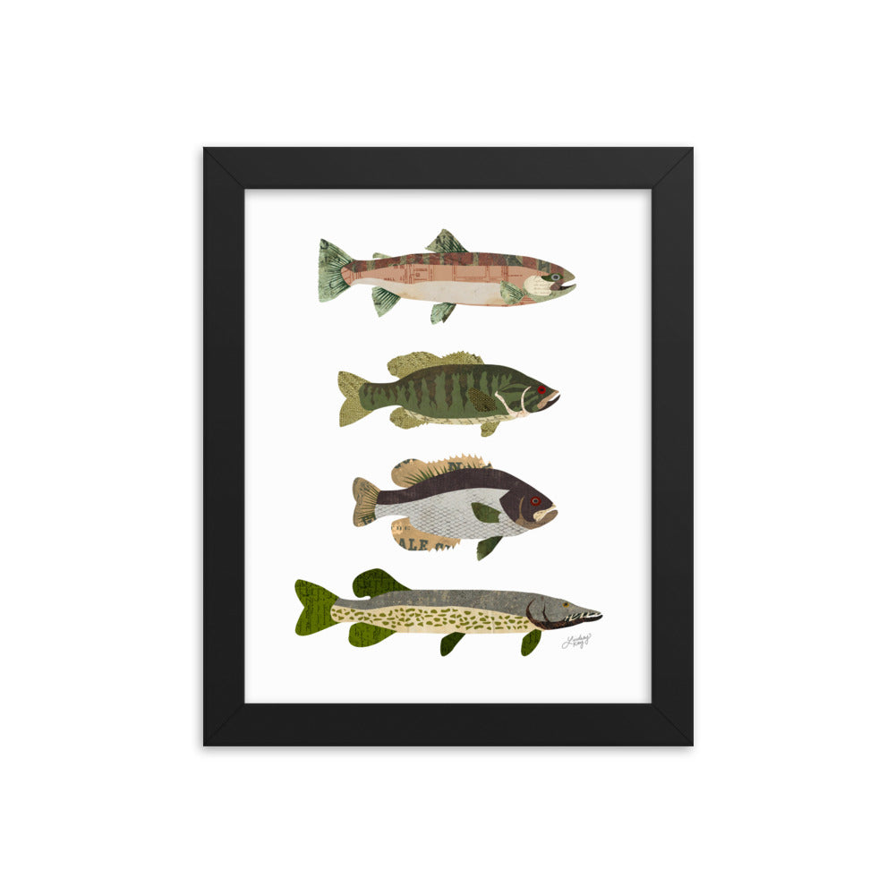 Fish Collage - Framed Matte Print - Lindsey Kay Collective