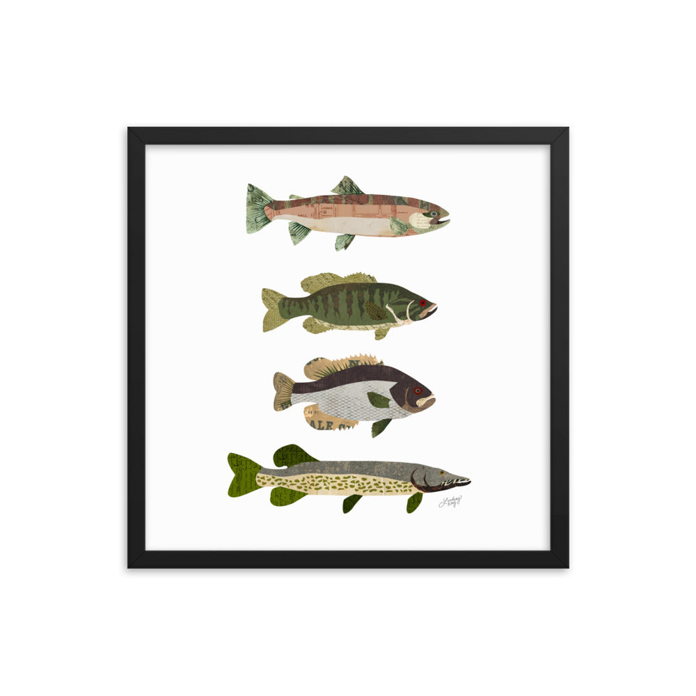 Collage de peces - Impresión mate enmarcada