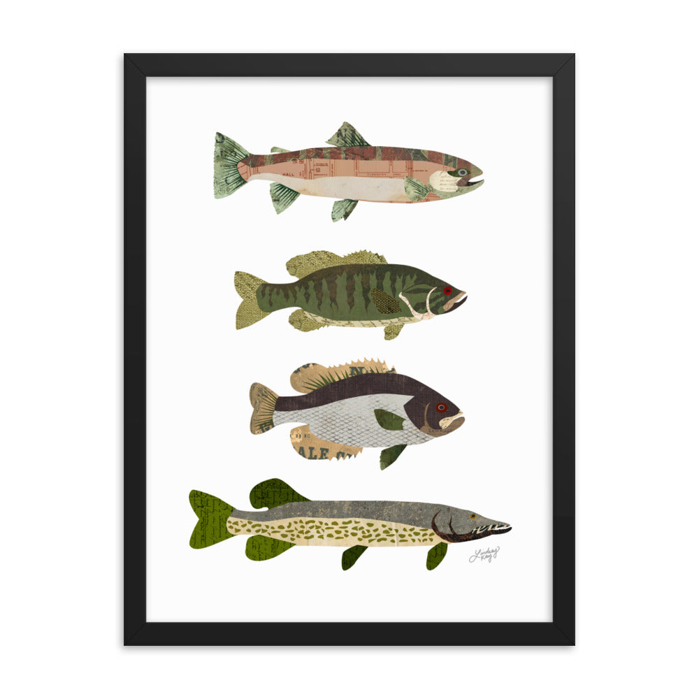 Fish Collage - Framed Matte Print - Lindsey Kay Collective