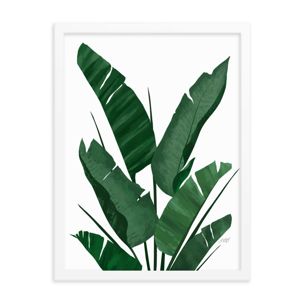 Banana Leaf Plant Collage - Framed Matte Print