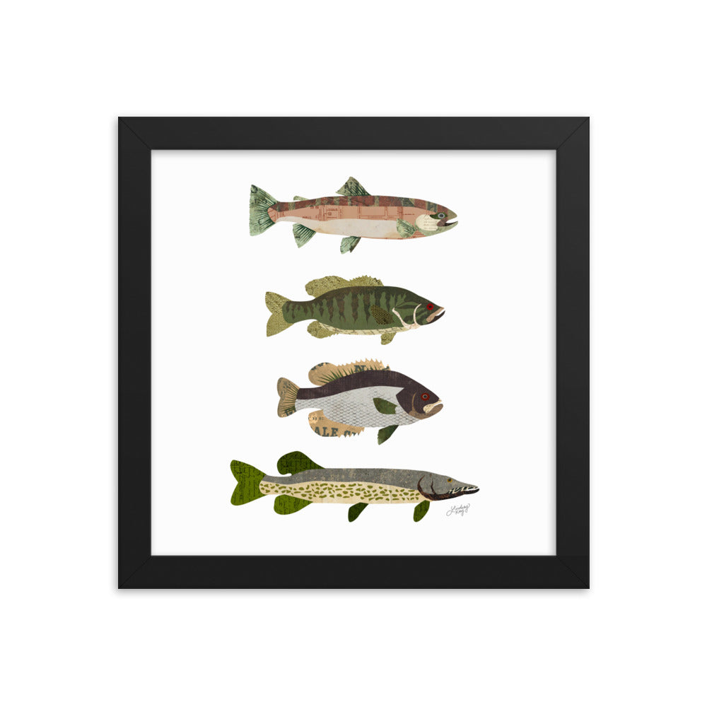 Fish Collage - Framed Matte Print - Lindsey Kay Collective