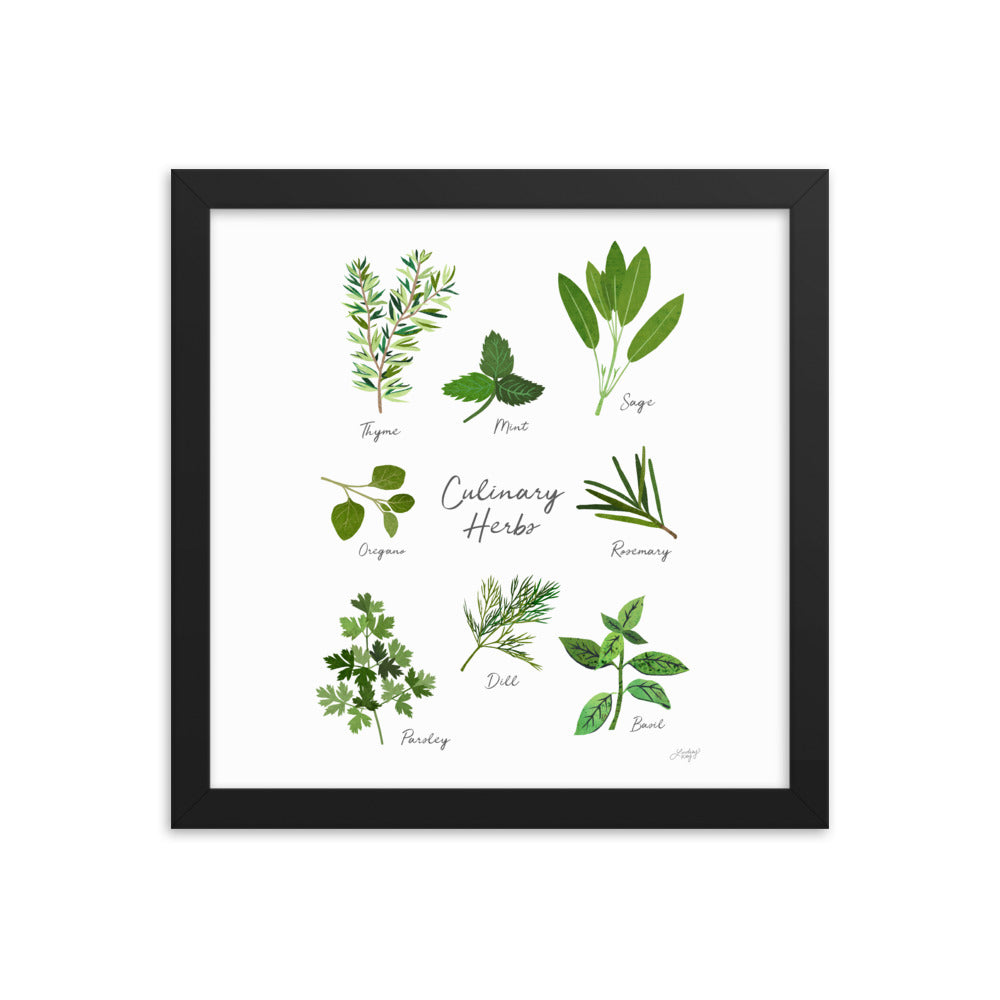 Herbs Collage - Framed Matte Print