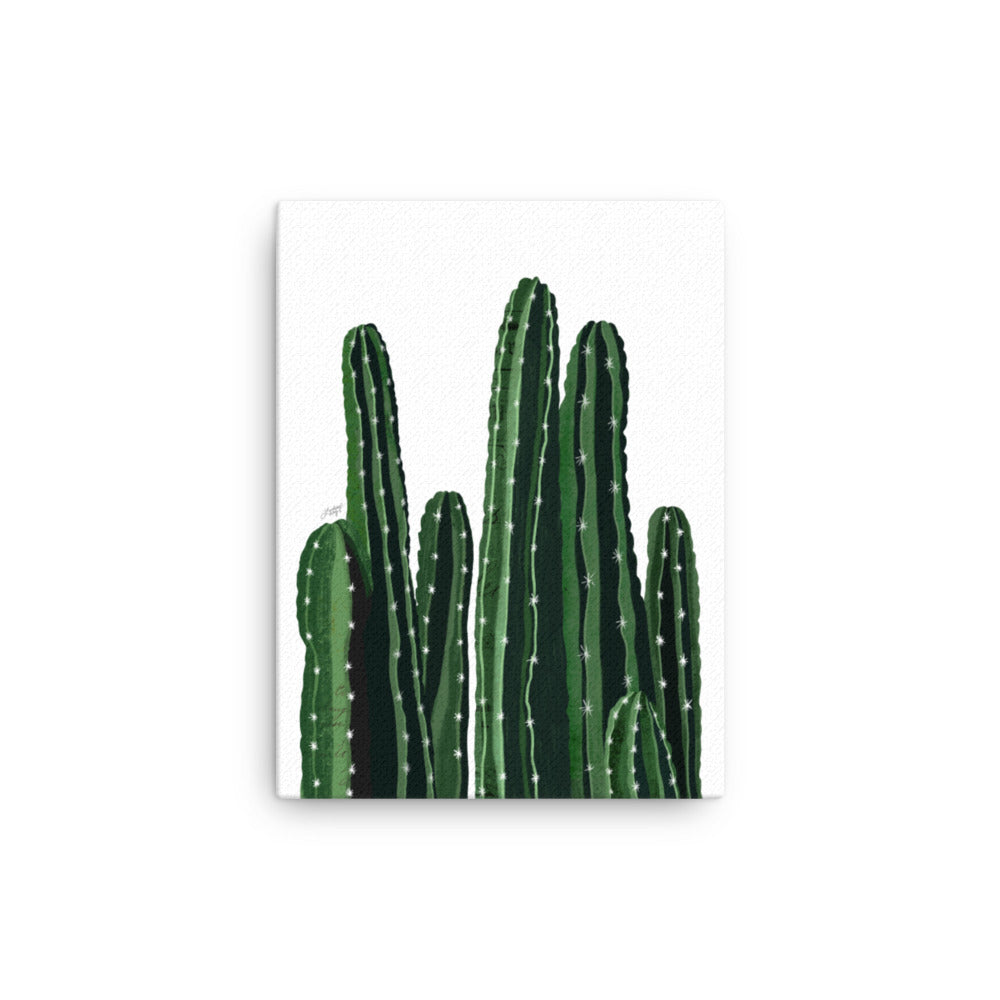 Ilustración de cactus - Lienzo