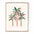 Ilustración de palmeras (paleta neutra) - Impresión de arte